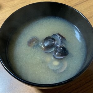 しじみの味噌汁の作り方！